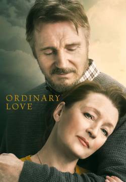 Ordinary Love - Un amore come tanti (2019)