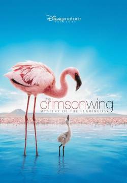 The Crimson Wing: Mystery of the Flamingos - Il mistero dei fenicotteri rosa (2008)