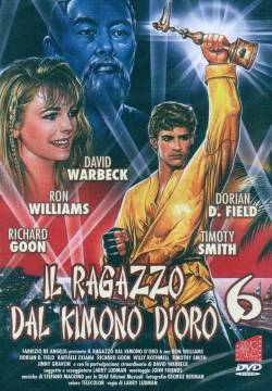 Il ragazzo dal kimono d'oro 6 (1993)