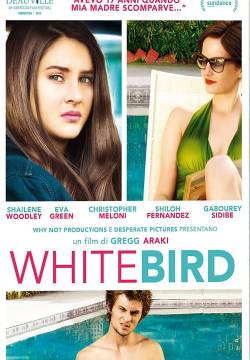 White Bird in a Blizzard (2014)