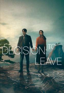 La donna del mistero - Decision to Leave  (2022)