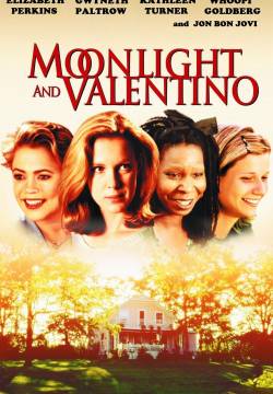 Moonlight and Valentino (1995)